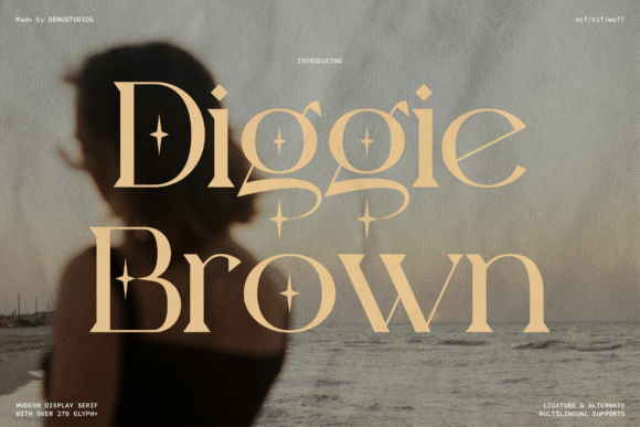 Diggie Brown: A Premium Serif Font for Branding