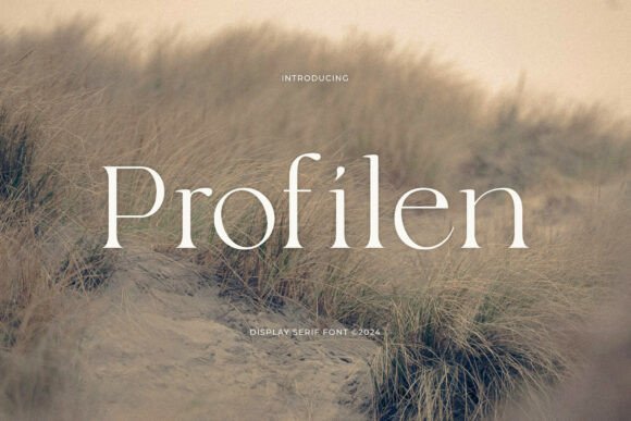 Profilen Typeface for Elegant Small Business Branding