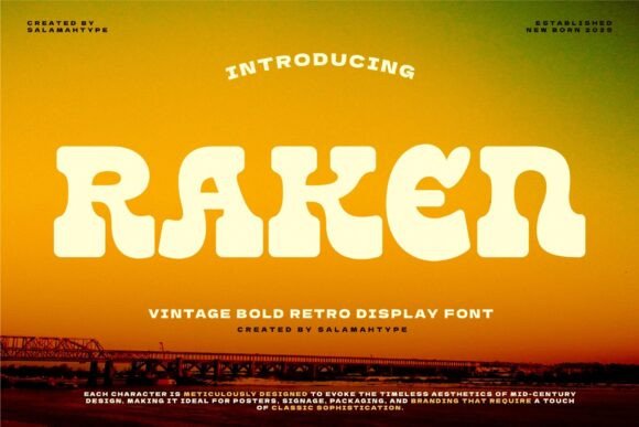 Raken: A Bold Slab Serif Font for Makers