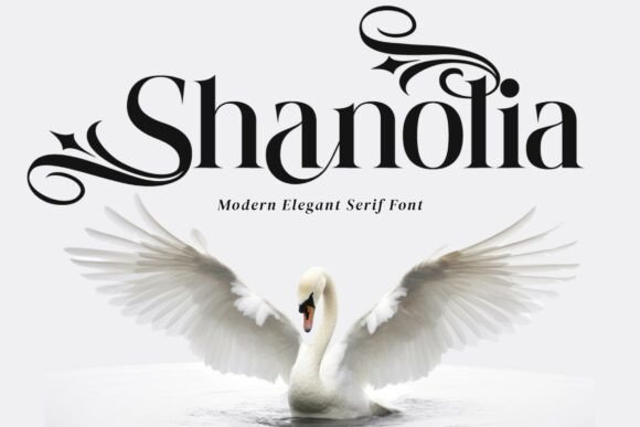 Shanolia: A Premium Serif Font for Elegant Branding